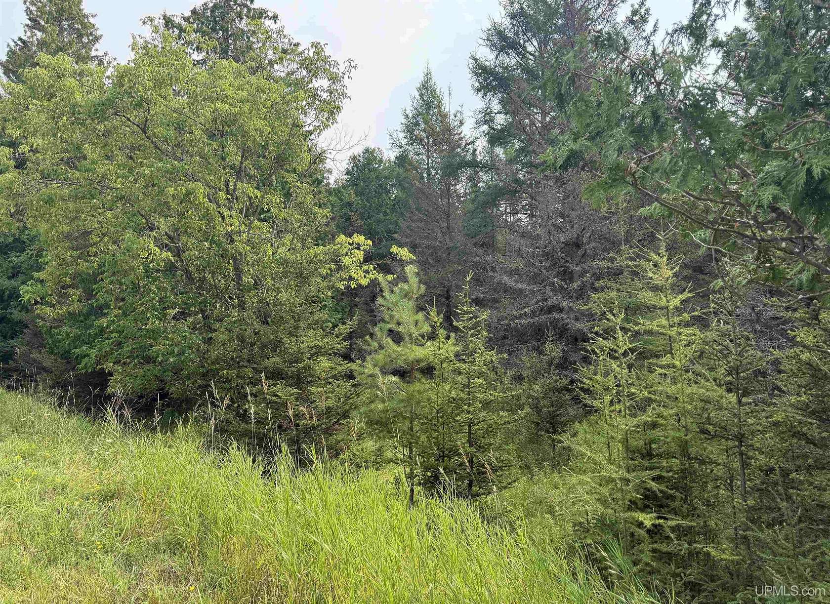 0.92 Acres of Residential Land for Sale in Rapid River, Michigan