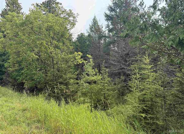 0.92 Acres of Residential Land for Sale in Rapid River, Michigan
