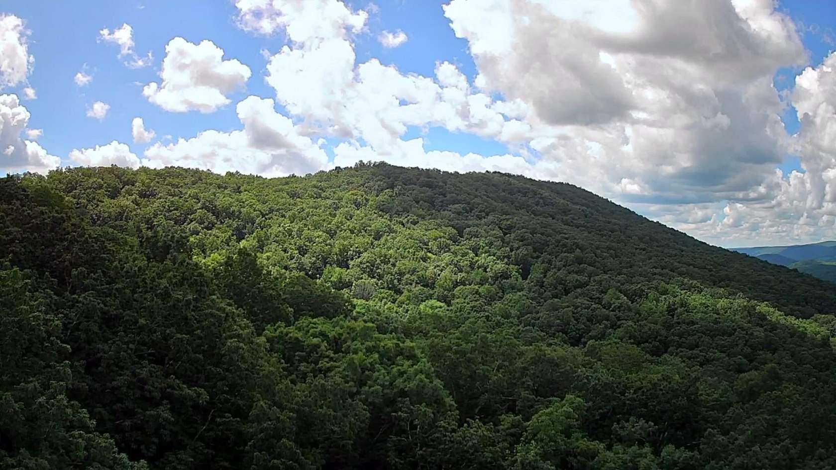 85 Acres of Recreational Land for Sale in Dayton, Tennessee