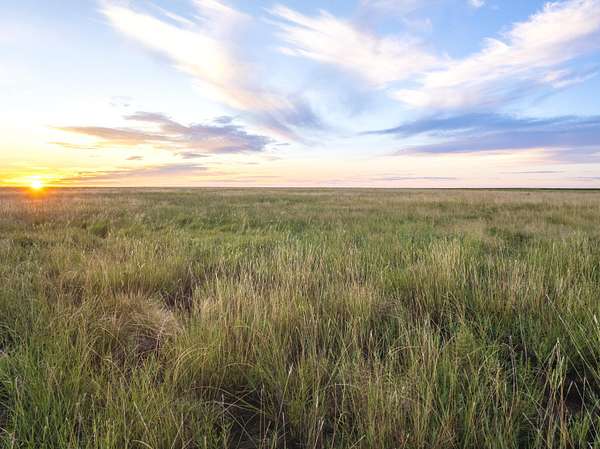 161 Acres of Recreational Land & Farm for Sale in Sudan, Texas