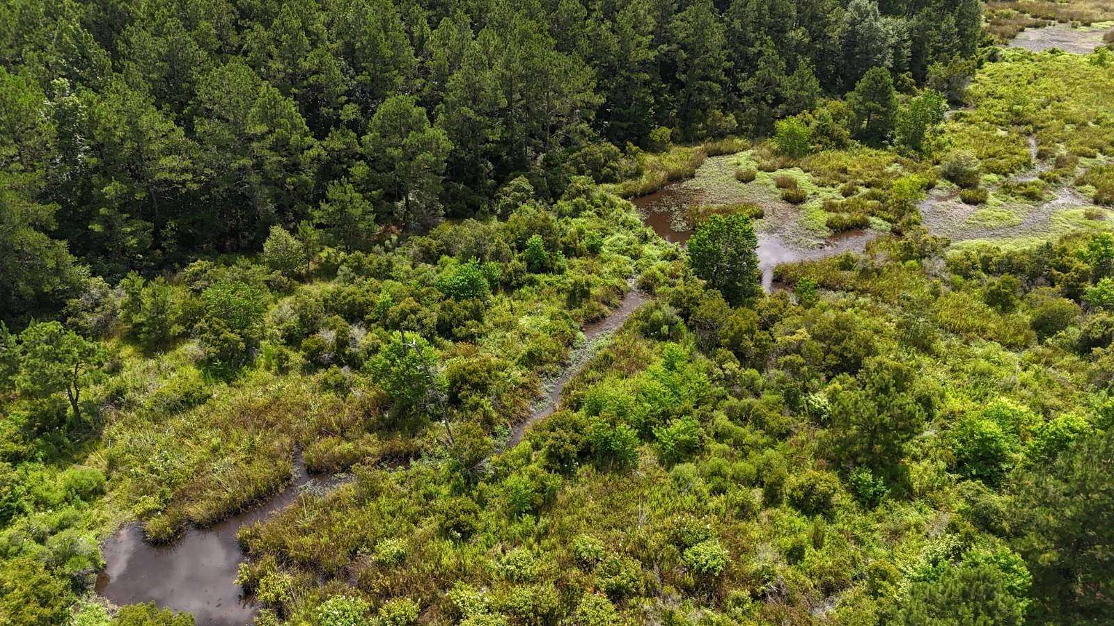 15 Acres of Recreational Land for Sale in Dodson, Louisiana