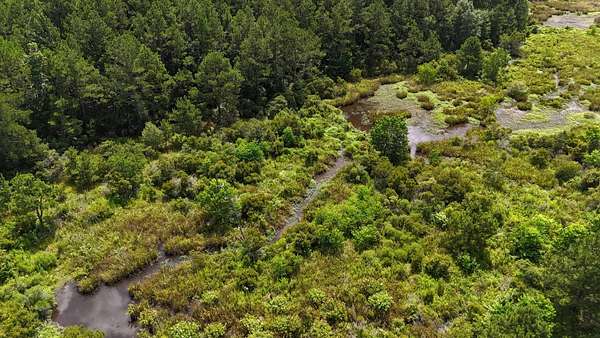 15 Acres of Recreational Land for Sale in Dodson, Louisiana