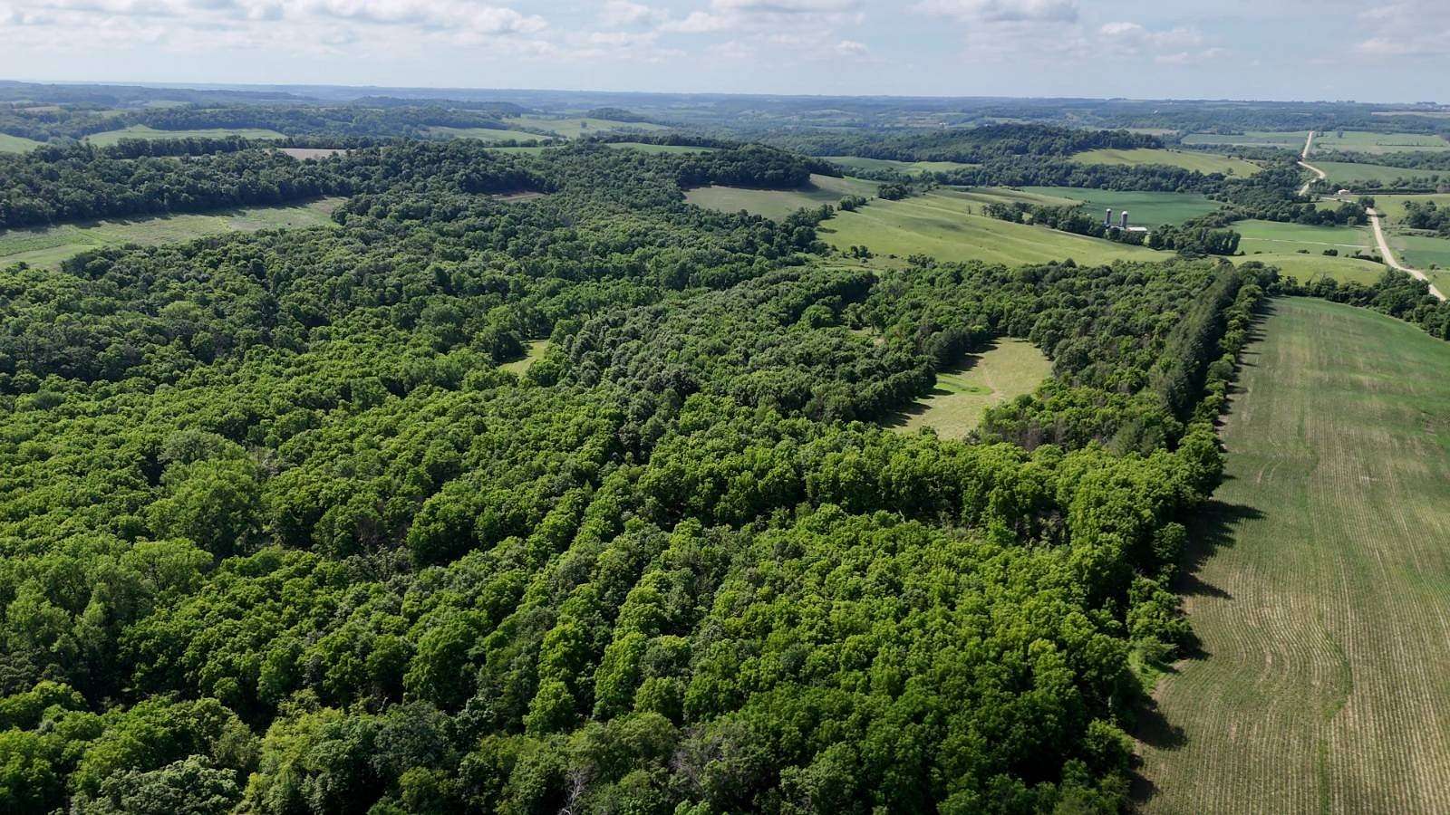 100 Acres of Recreational Land & Farm for Sale in Wadena, Iowa