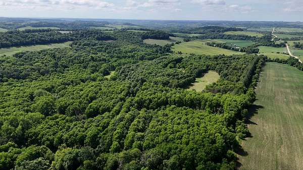 100 Acres of Recreational Land & Farm for Sale in Wadena, Iowa
