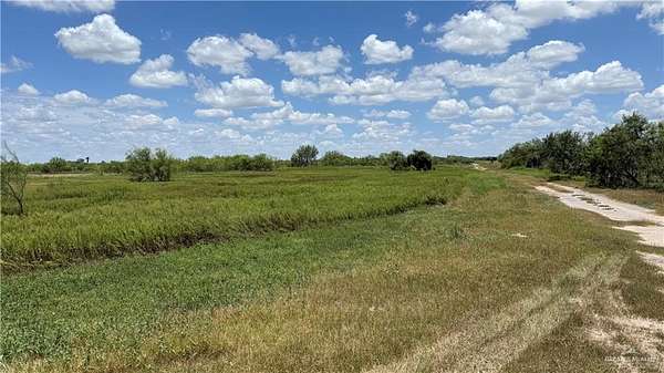 11.3 Acres of Agricultural Land for Sale in Edcouch, Texas