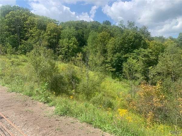 21.2 Acres of Land for Sale in Utica, New York