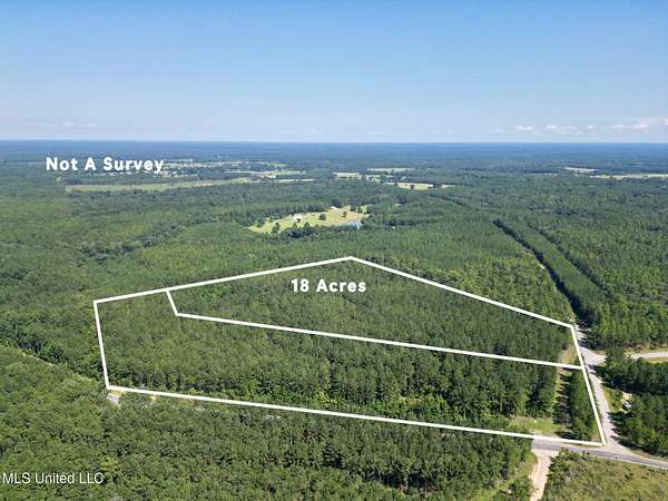 20 Acres of Recreational Land for Sale in Poplarville, Mississippi