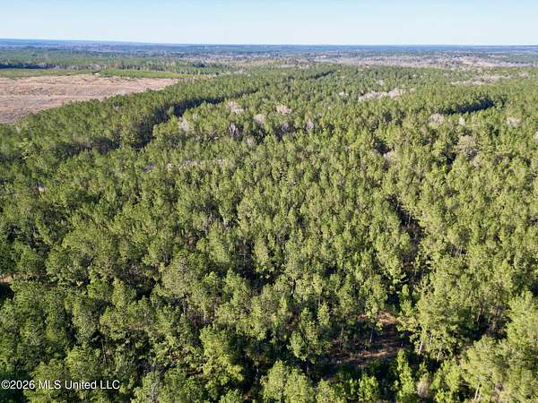 23 Acres of Recreational & Residential Land for Sale in Poplarville, Mississippi