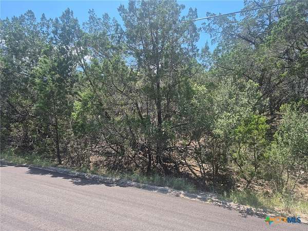 0.29 Acres of Land for Sale in Lago Vista, Texas