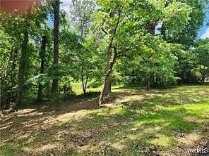 0.48 Acres of Land for Sale in Tuscaloosa, Alabama