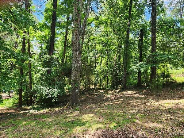 0.48 Acres of Land for Sale in Tuscaloosa, Alabama