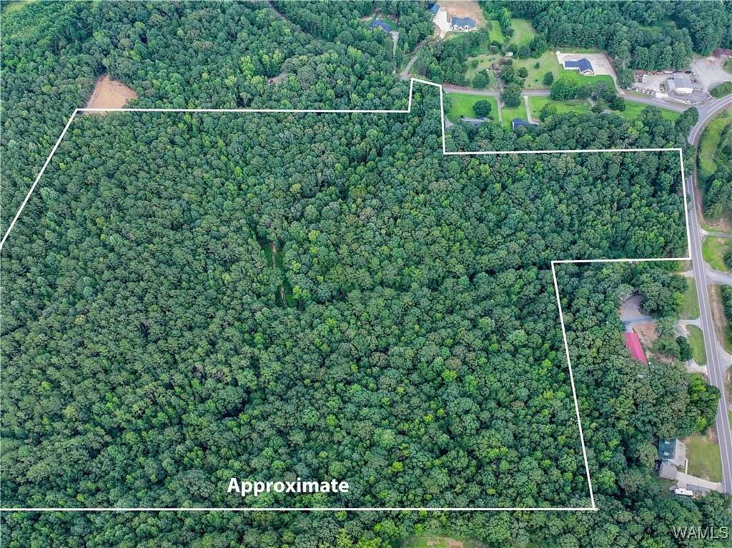 38.2 Acres of Land for Sale in Northport, Alabama