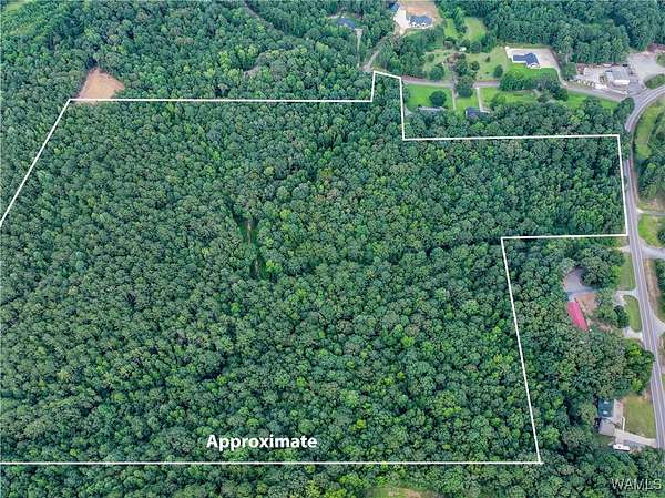38.2 Acres of Land for Sale in Northport, Alabama