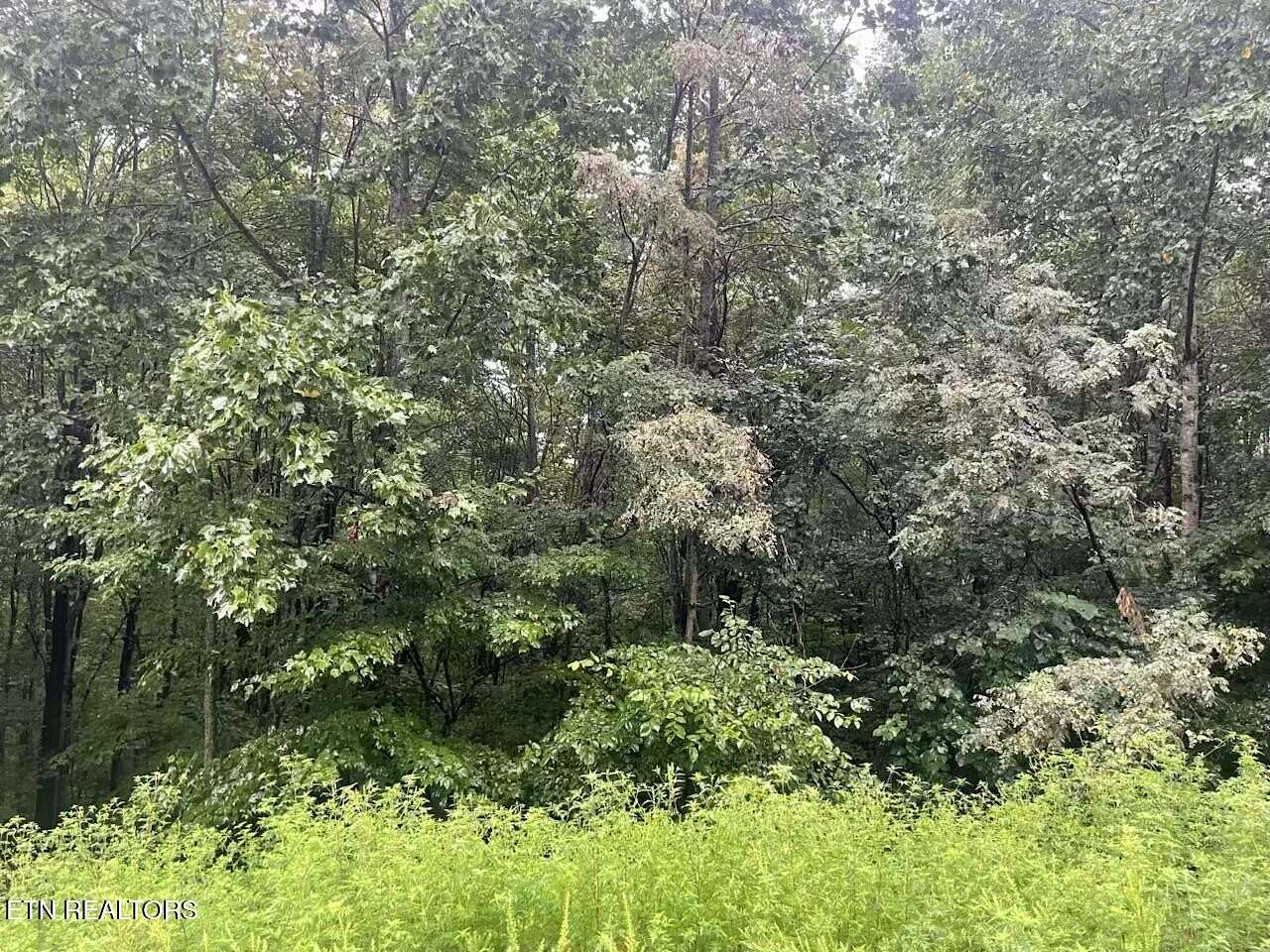 3.5 Acres of Land for Sale in New Tazewell, Tennessee