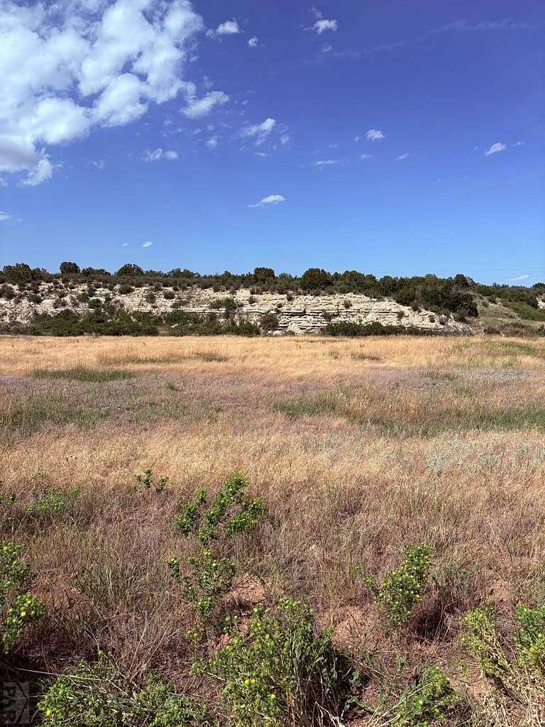 0.25 Acres of Residential Land for Sale in Colorado City, Colorado