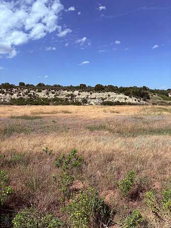 0.25 Acres of Residential Land for Sale in Colorado City, Colorado