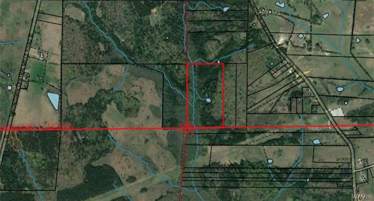 25 Acres of Recreational Land for Sale in Uniontown, Alabama