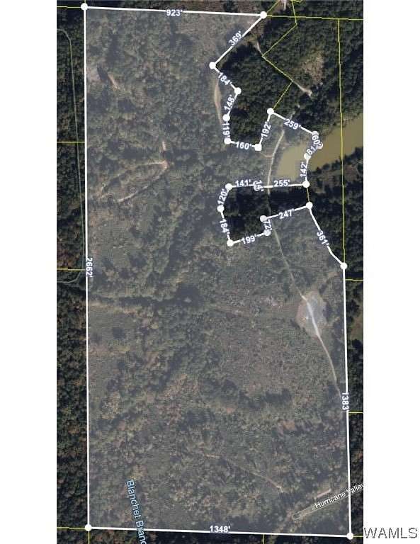 69 Acres of Recreational Land for Sale in Brookwood, Alabama