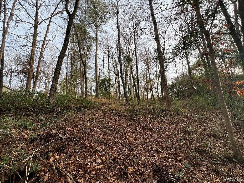 0.52 Acres of Residential Land for Sale in Tuscaloosa, Alabama