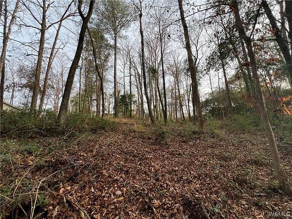 0.52 Acres of Residential Land for Sale in Tuscaloosa, Alabama