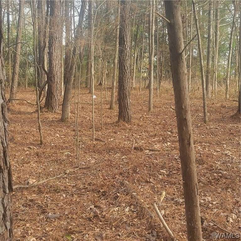 3 Acres of Land for Sale in Pickensville, Alabama