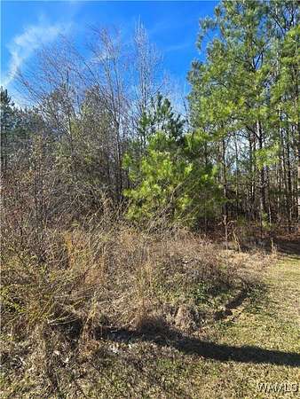 1.63 Acres of Residential Land for Sale in Fosters, Alabama
