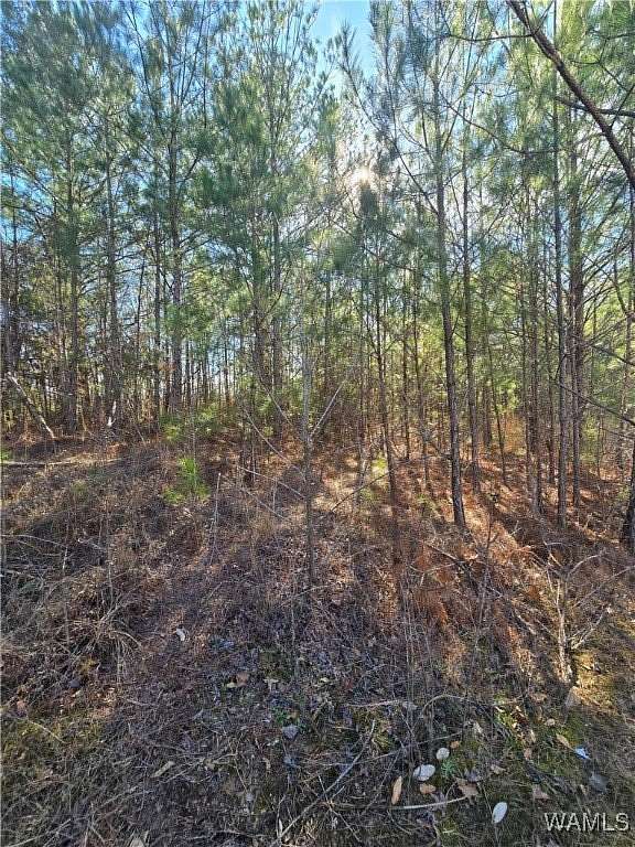 0.34 Acres of Land for Sale in Fosters, Alabama