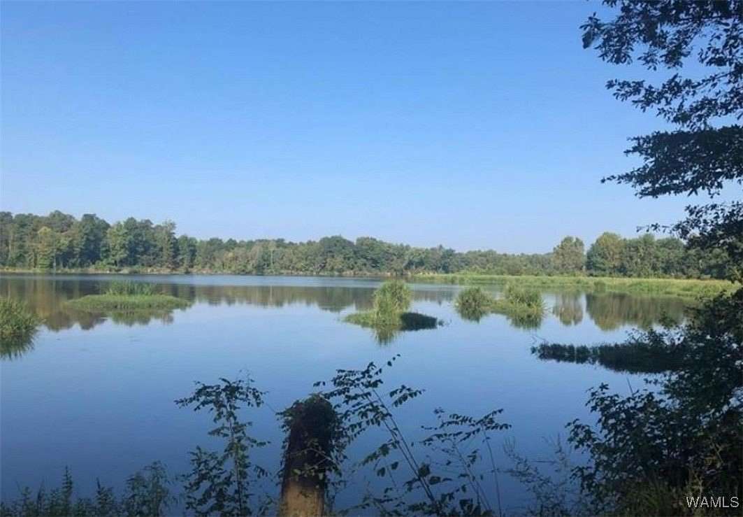 1 Acre of Residential Land for Sale in Akron, Alabama