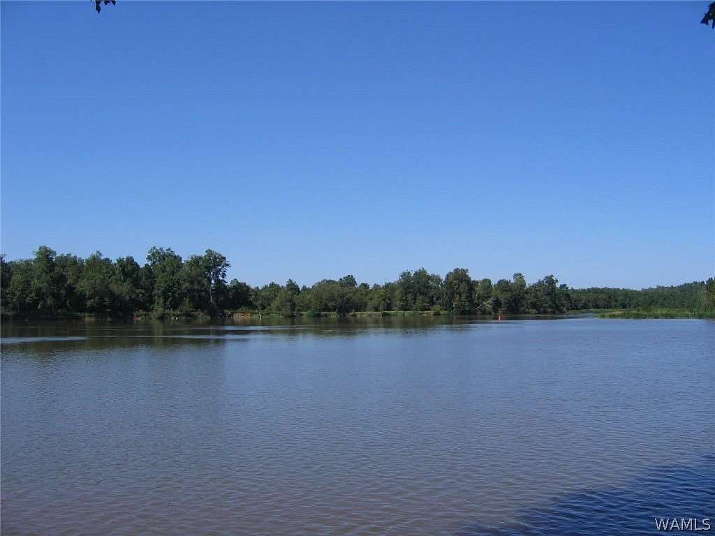 1 Acre of Residential Land for Sale in Akron, Alabama