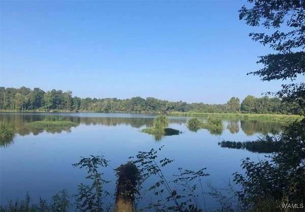 1 Acre of Residential Land for Sale in Akron, Alabama