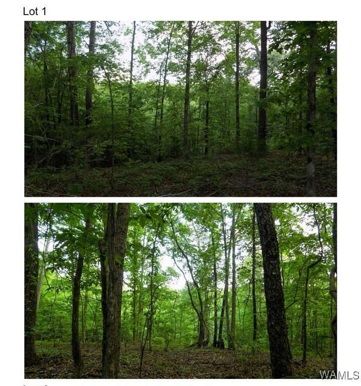 0.9 Acres of Residential Land for Sale in Tuscaloosa, Alabama