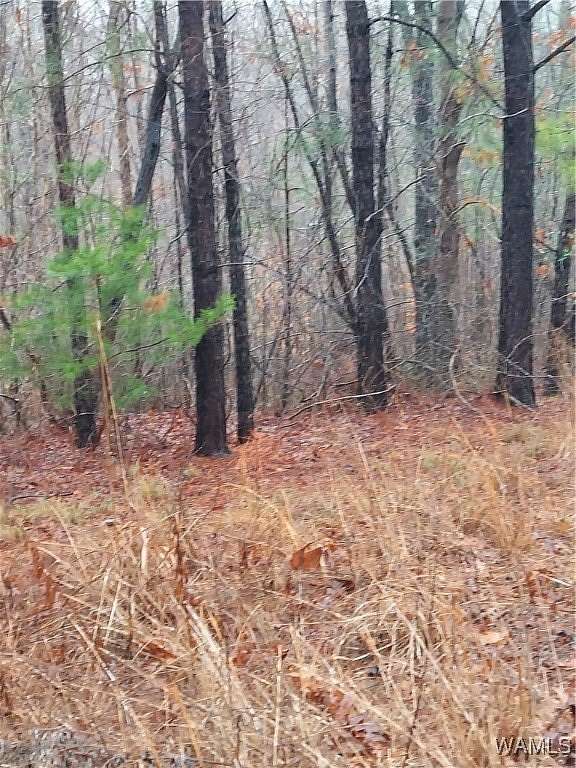 3.5 Acres of Residential Land for Sale in Double Springs, Alabama