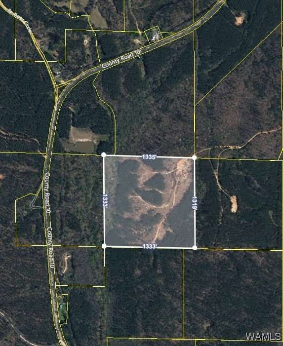 40 Acres of Land for Sale in Millport, Alabama