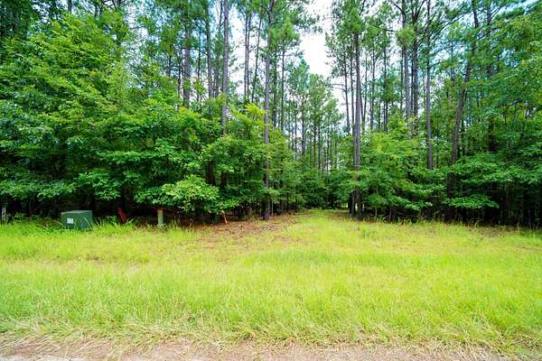 Residential Land for Sale in Lincolnton, Georgia