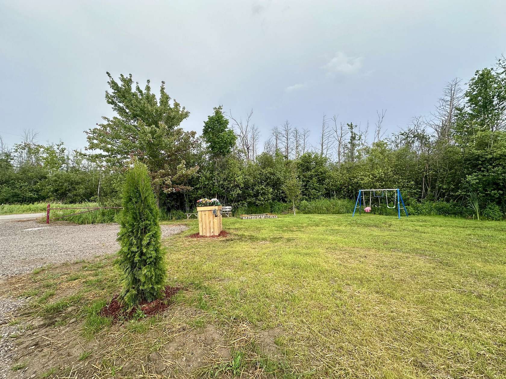 10 Acres of Recreational Land for Sale in Lachine, Michigan