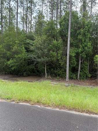 2.25 Acres of Residential Land for Sale in Hortense, Georgia