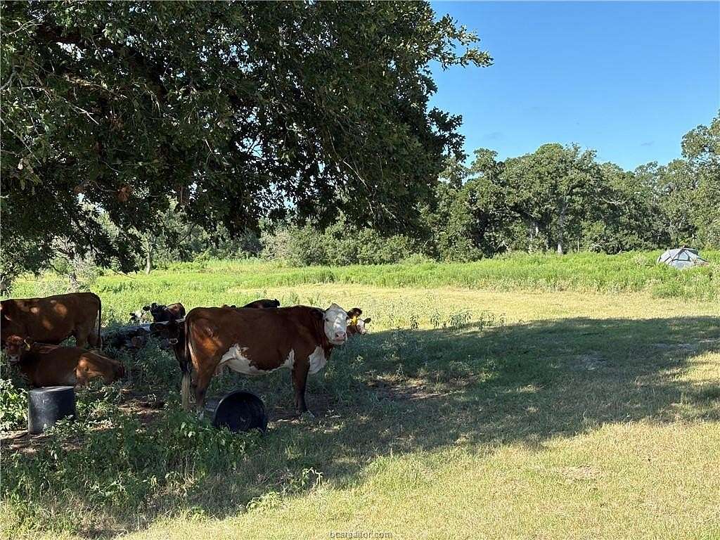 266 Acres of Recreational Land & Farm for Sale in Bedias, Texas