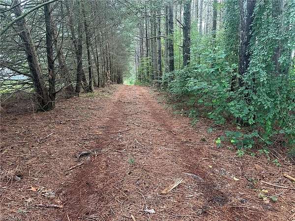 20.1 Acres of Agricultural Land for Sale in Elkin, North Carolina