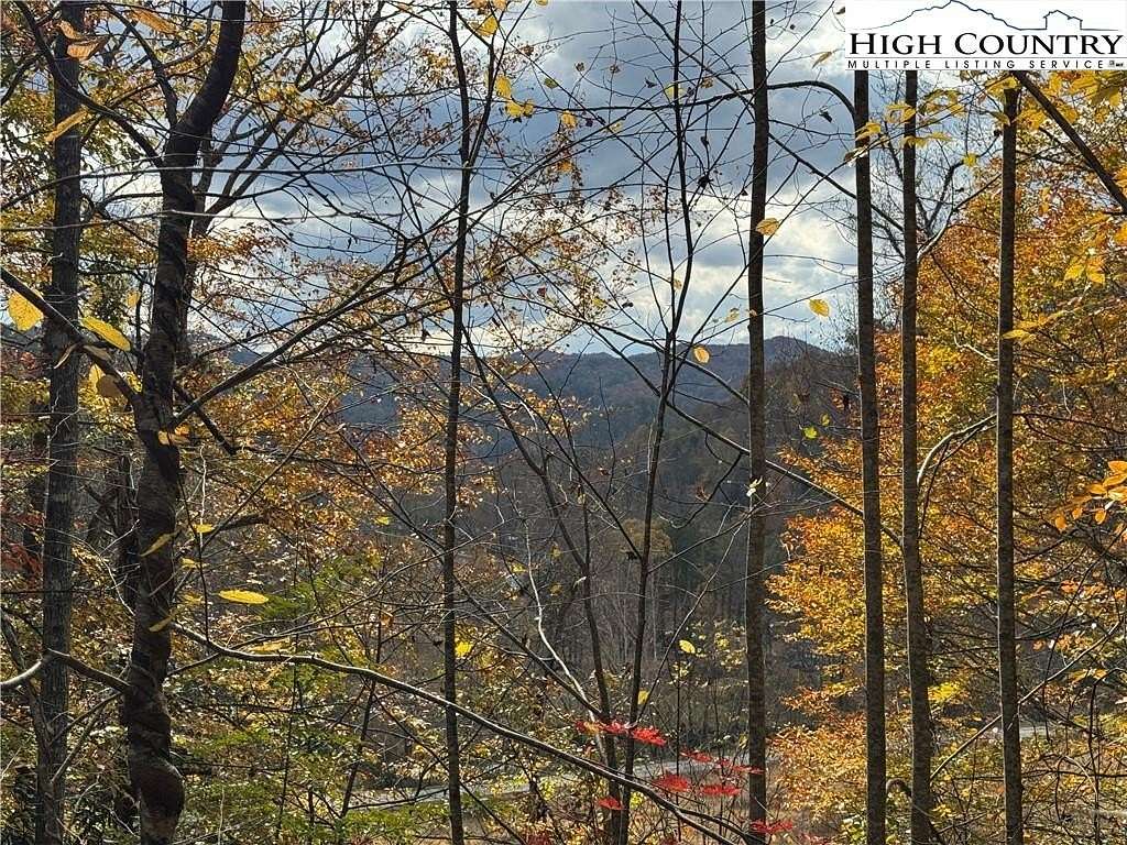 71.4 Acres of Recreational Land for Sale in Lenoir, North Carolina