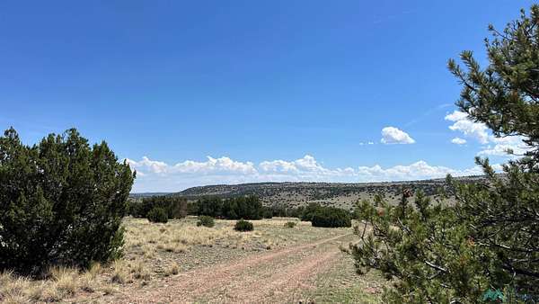 7.42 Acres of Land for Sale in Quemado, New Mexico