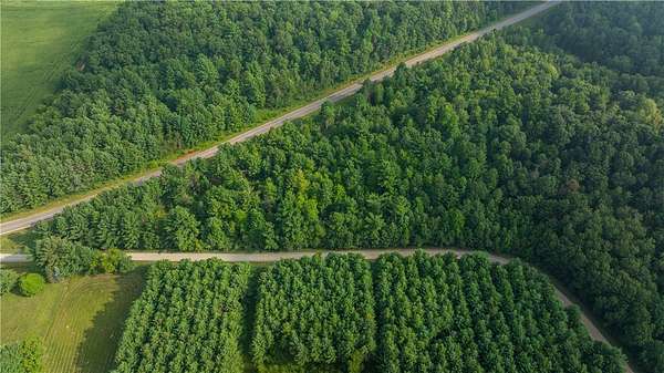 13 Acres of Land for Sale in Fairchild, Wisconsin