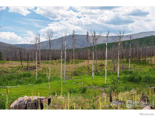 6.1 Acres of Residential Land for Sale in Bellvue, Colorado