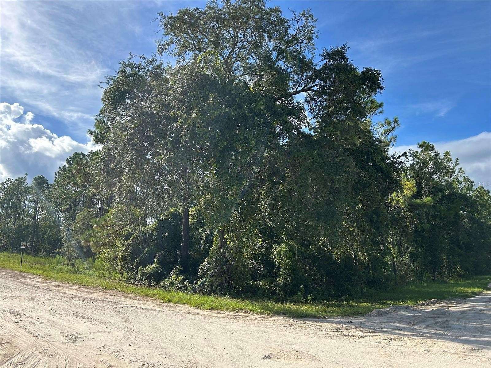 2 Acres of Residential Land for Sale in Williston, Florida