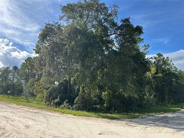 2 Acres of Residential Land for Sale in Williston, Florida