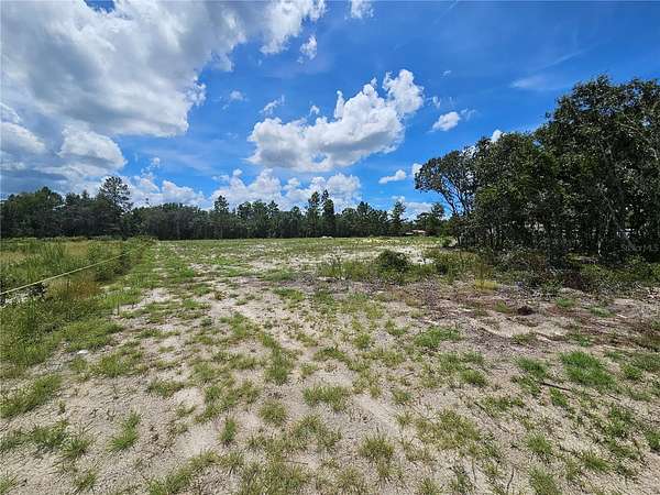 1.25 Acres of Residential Land for Sale in Bronson, Florida