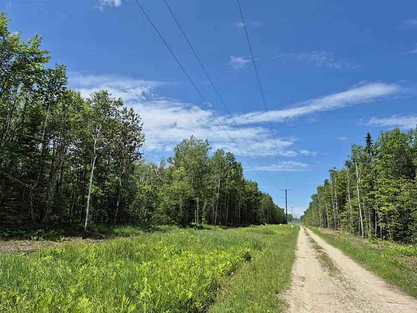40 Acres of Recreational Land for Sale in Gulliver, Michigan