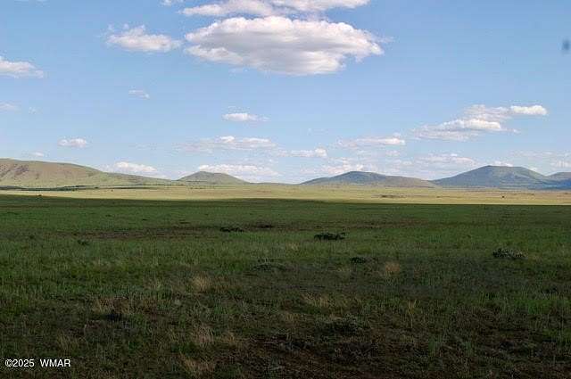 3.35 Acres of Land for Sale in Concho, Arizona