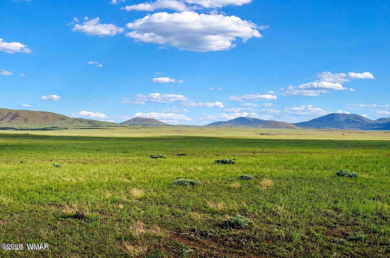 3.35 Acres of Land for Sale in Concho, Arizona