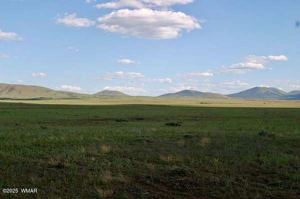 3.35 Acres of Land for Sale in Concho, Arizona