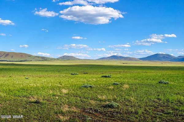 3.35 Acres of Land for Sale in Concho, Arizona